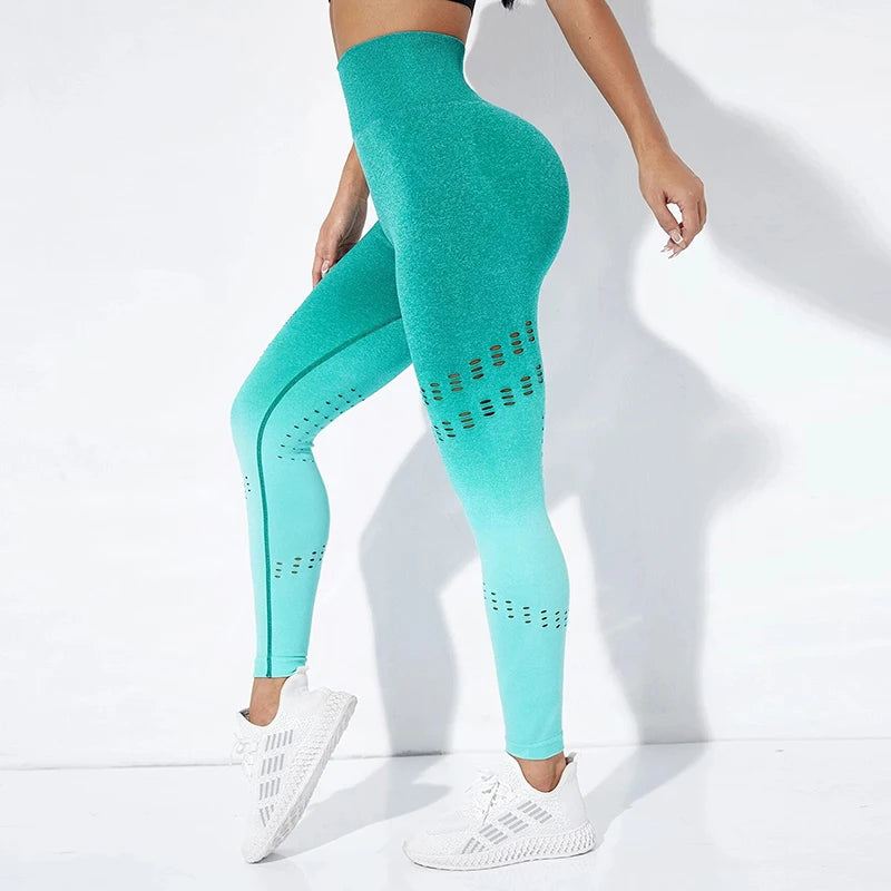 Fashion Gradient Mesh Leggings