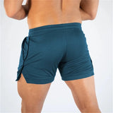 Fitness sports Shorts